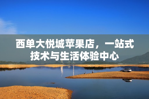 西单大悦城苹果店，一站式技术与生活体验中心