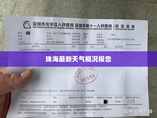 珠海最新天气概况报告