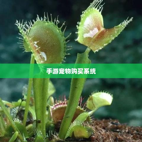 手游宠物购买系统，游戏互动体验的新趋势