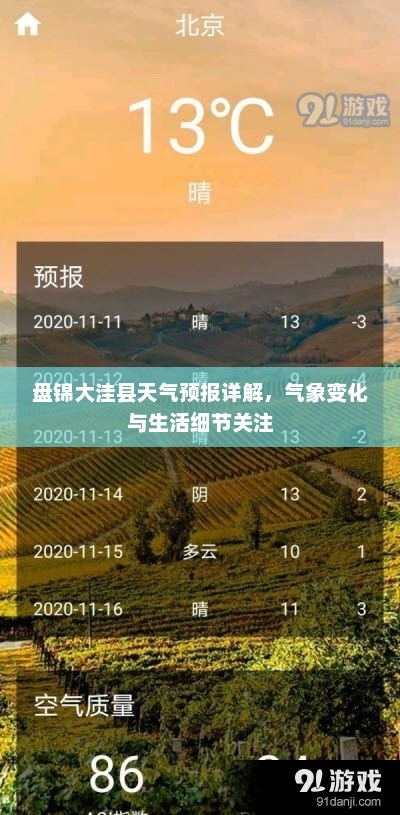 盘锦大洼县天气预报详解，气象变化与生活细节关注