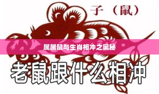 生肖鼠与其他生肖相冲之奥秘揭秘