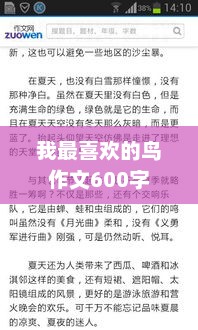我最喜欢的鸟作文600字
