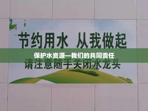 携手共治水资源危机，我们的共同责任与行动