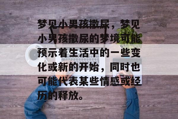 梦见小男孩撒尿，梦见小男孩撒尿的梦境可能预示着生活中的一些变化或新的开始，同时也可能代表某些情感或经历的释放。