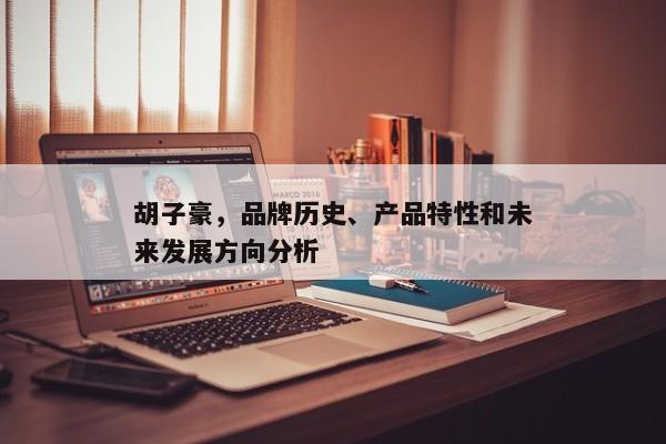 胡子豪，探索品牌历史、产品特性及未来发展方向
