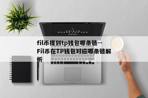 fil币提到tp钱包哪条链--Fil币在TP钱包对应哪条链解析