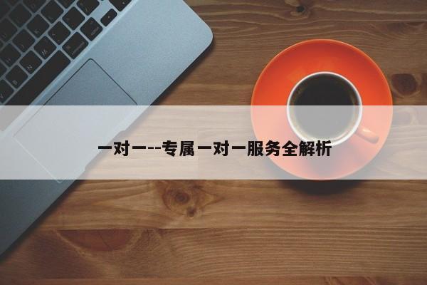 一对一--专属一对一服务全解析